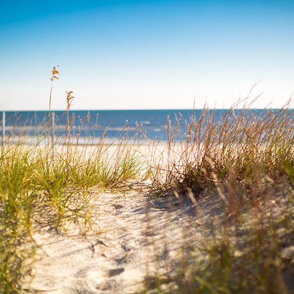 Gulf Coast Vacation Packages